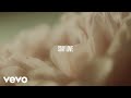 Lewis Capaldi Stay Love Visualiseur Officiel mp3