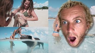 Reviewing my Most INSANE Bahamas Footage (Got Attacked)