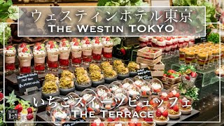 【ウェスティンホテル東京】高級いちごスイーツが食べ放題！ 【ホテルビュッフェ】ザ・テラス ストロベリーデザートブッフェ 2022年1月 | 東京ビュッフェラボ