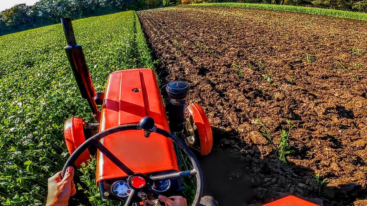 Orka Gorczycy 2022 - Ursus C-330 (dźwięk silnika/engine sound)