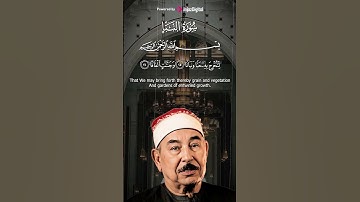 تلاوة خاشعة من سورة النبأ بصوت يلامس القلوب