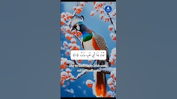 سورة المسد #الله #القرآن #فيروسي #فيديو فيروسي #فيديو فيروسي على يوتيوب #فيديو رائج #سورة المسد