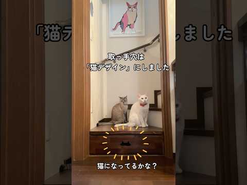 【猫と暮らす家】階段の蹴込み板をぶち抜いて「引き出し収納」作った💪✨