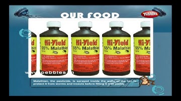 EVS For Class 5 | Environmental Science | Our Food | Agriculture | Learn Science for Kids