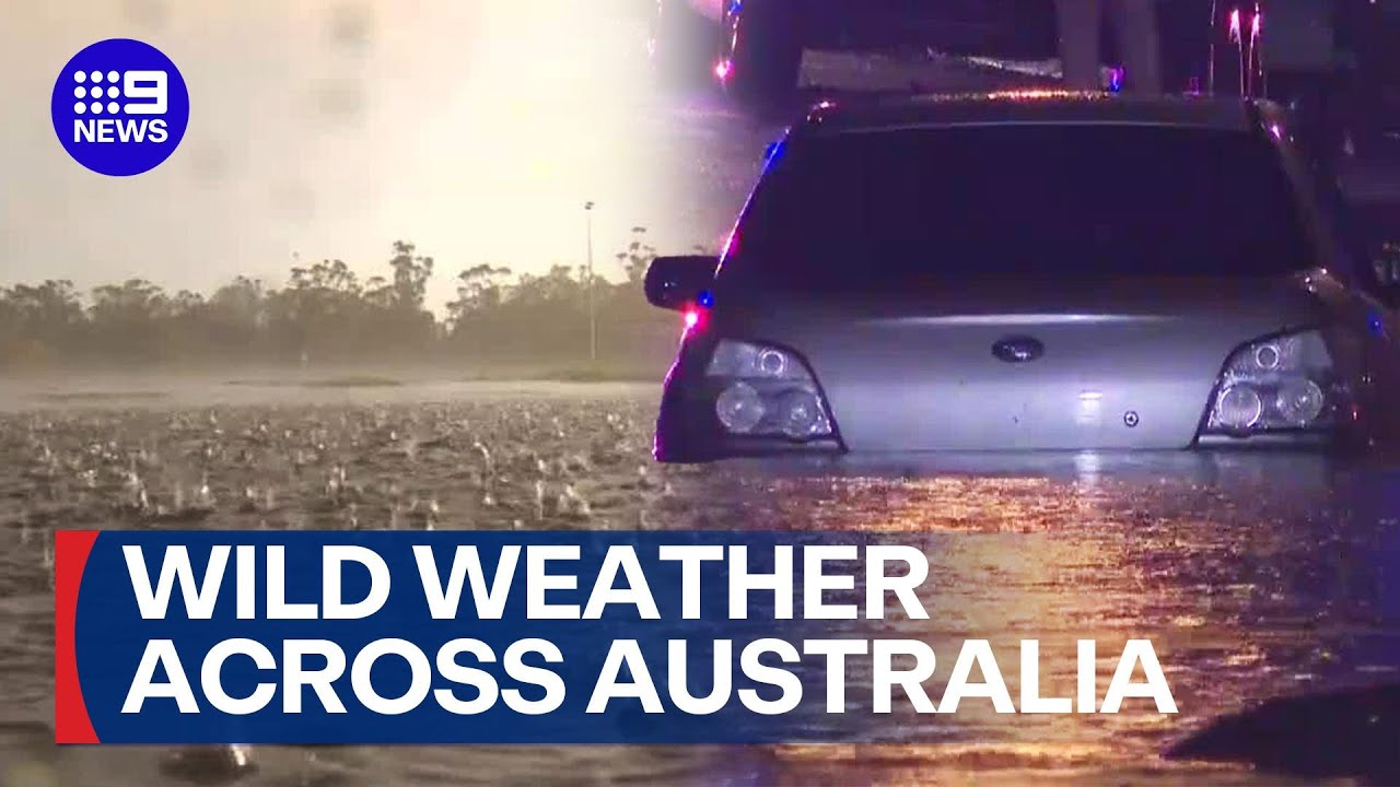 Wild wet weather splashes its way across Australia | 9 News Australia