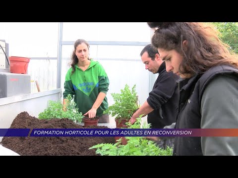 Vidéo: Qu'est-ce que l'horticulture en termes simples ?