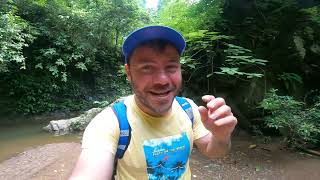 Κάπου σε κάποια ζούγκλα!