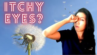 Symptoms and Treatment of Eye Allergies | What You Can Do During Seasonal Allergy Season!