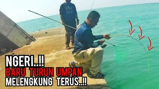 PORT MEMANCING  : Baru Turun Umpan Rod Melengkung Terus Di Jambatan Bunting