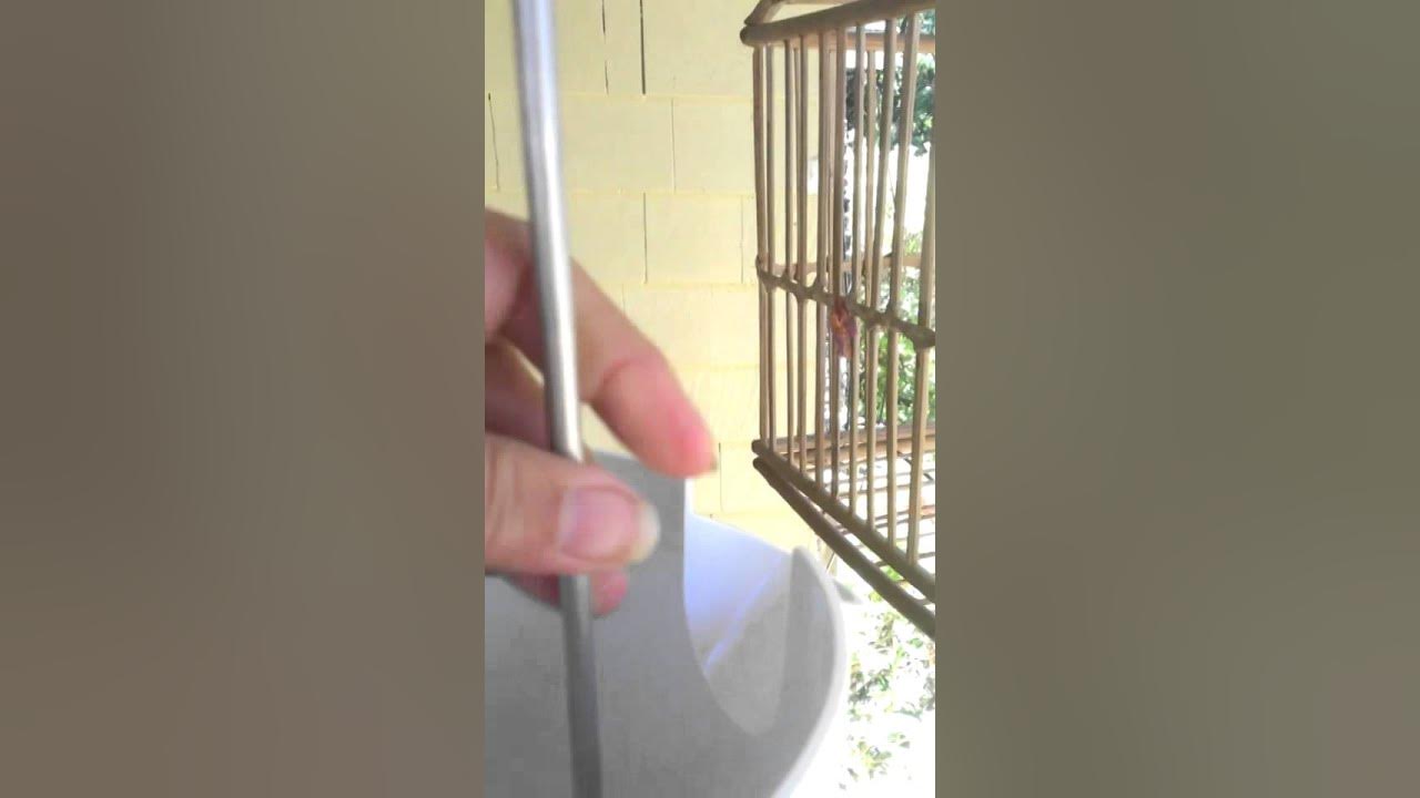 Tower Garden extension kit instalatiom YouTube