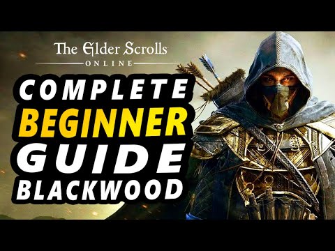 ESO - Complete Beginner Guide - Blackwood Edition 2021
