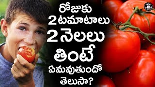Health Benefits Of Eating Tomatoes In Telugu | Nutritional Facts Of Tomatoes | Telugu Panda