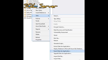How to Import And Export Data from SQL Server