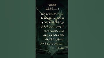 #سورة_النمل #الجزائر #لايك #اكسبلور #السعودية #اكسبلورر #تيك_توك #حالات_واتس #الامارات #ترند