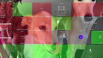 Hubitat Buttons and Switches