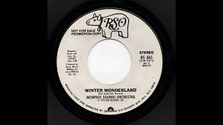 Winter Wonderland - Memphis Sounds Orchestra