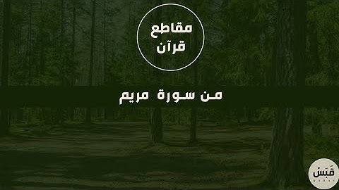 فناداها من تحتها ألا تحزني | القارئ أحمد النفيس
