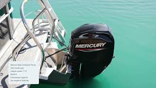 Godfrey Pontoons Sweetwater 1680 CX