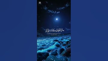 #سورة_الزمر #ياسر_الدوسري #قرآن #قران_كريم