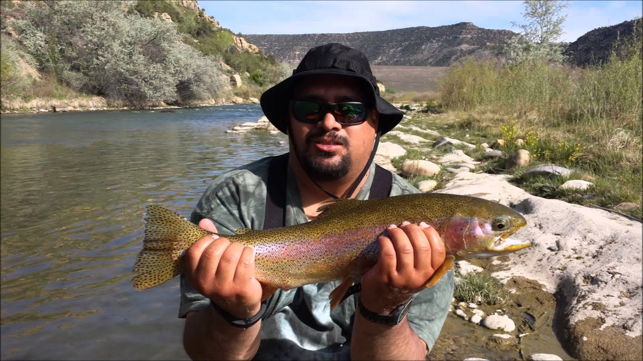 Catching Big Trout Tenkara fly fishing San Juan River YouTube
