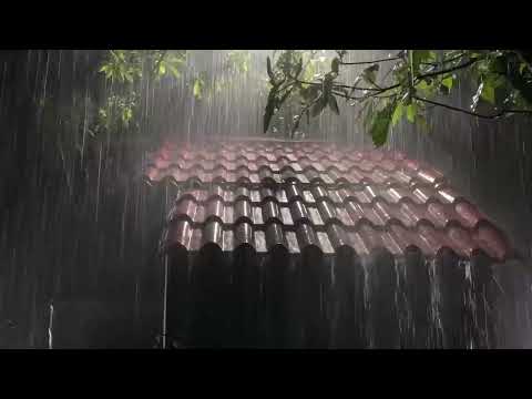 Deep Sleep Instantly With Heavy Rain Roaring Thunderstorm Sounds On Tin Roof In Forest At Night