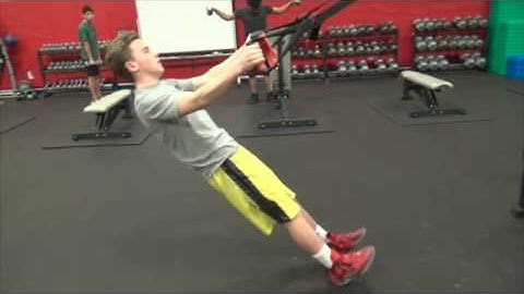 TRX Reverse Fly