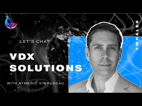 What is VDX's Vision? - An interview with Aymeric V Breneau