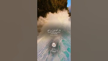 سورة الانعام 79٫80 - ياسر الدوسري surah al anaam - yasser al dossary