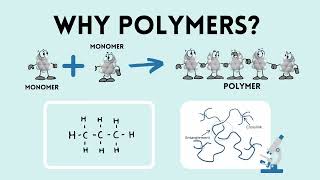 What Polymers Can do: Tissue Engineering