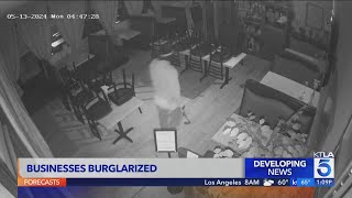 Burglar breaks into Glassell Park businesses