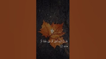 حالات واتس عبد الرحمن مسعد سورة طه🧡