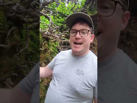 A.I. Lied About Moss!!!            #naturelovers #naturevibes #moss