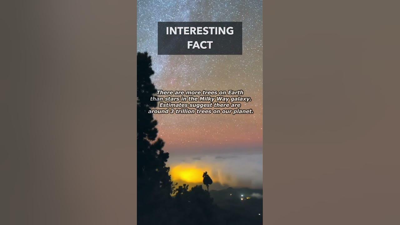 Are There More Trees Than Stars