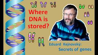 Where is DNA stored? (Secrets of Genes 26, EN Dub, TG14)