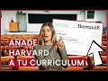 Cursos Online GRATIS + CERTIFICADO 🥇 Harvard, MIT, Stanford, Berkeley...  🚀