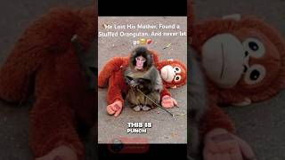 His Family Rejected Him… A Toy Saved His Life 🥺🧸💔 #Panchi-kun