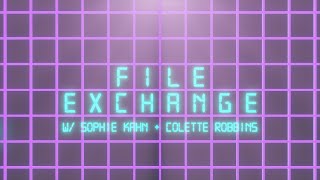 File Exchange Intro