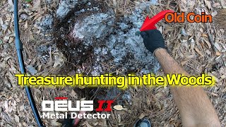 Treasure hunting in the Woods