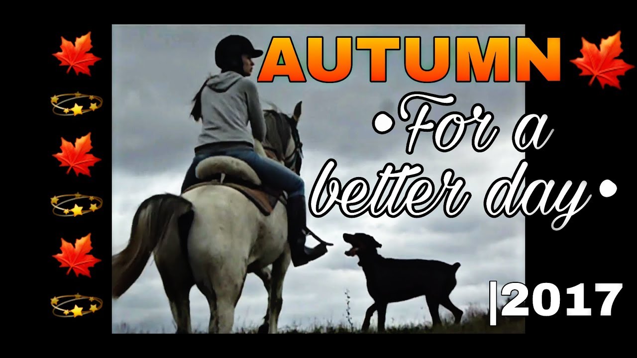 Autumn2017. Avicii - For A Better Day
