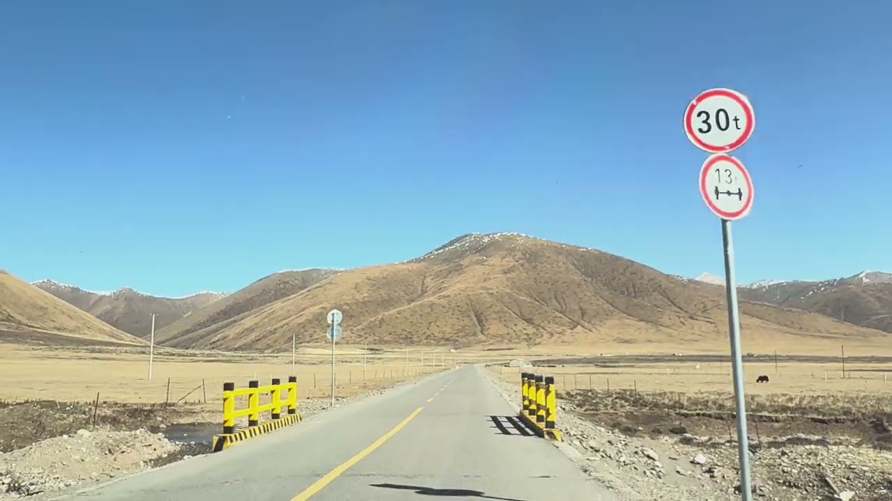 4K China Drive | Qilian Grasslands, Qinghai Summer Meadows & Lake Birds | No Talking