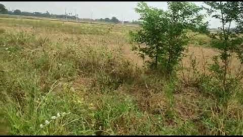 Residential Plots In Bihta for sale Near Hungama Water Park/Kanhauli Call 9798023419/8080801651