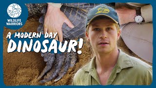 The Legend Of Drew Wildlife Warriors Missions