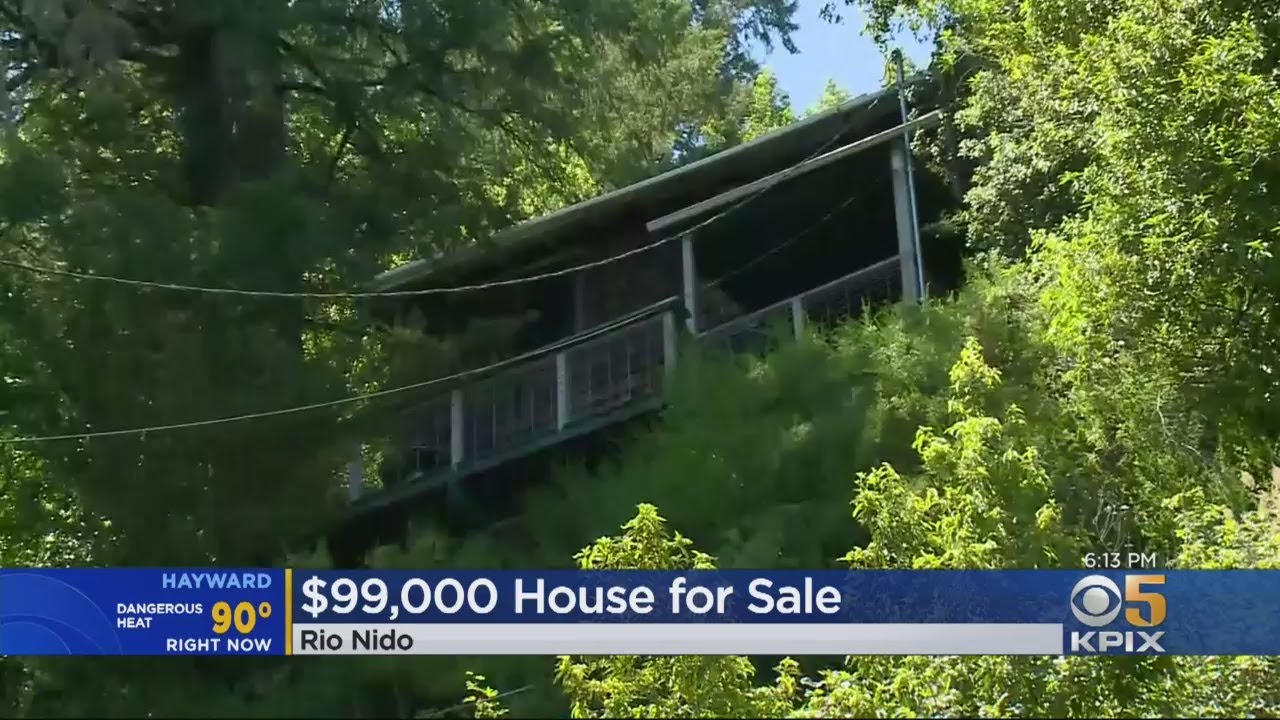 Sonoma County Bargain Cabin Comes With A Catch That Leaves Potential Buyers Gasping - YouTube