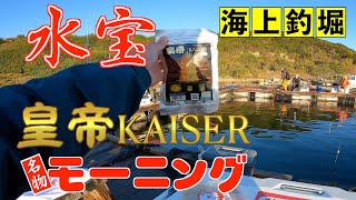 【海上釣堀】話題の『皇帝KAISER』を水宝名物”モーニング”で使ってみると