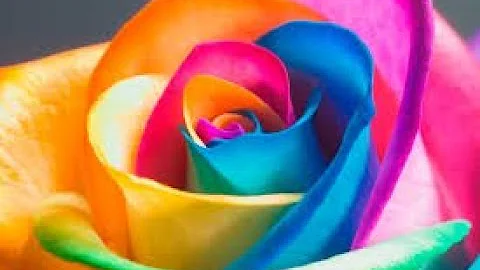 Rainbow & flowers - by: Kimberly Alford