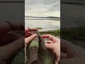 Double Knitting the Hemisphere Hat #knitting #yellowstonenationalpark  #homemade
