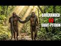 Hunting a Giant Python BAREHANDED in a Dark Cave|Agta Tribe Documentary