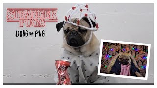 Stranger Pugs - Doug The Pug