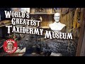 Touchstone Taxidermy Museum - Greatest Taxidermy Museum Ever?