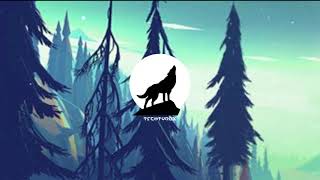 Techtyrox-Night Wolvesdrum And Bass